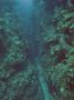 AmbergrisCaye05 - 007